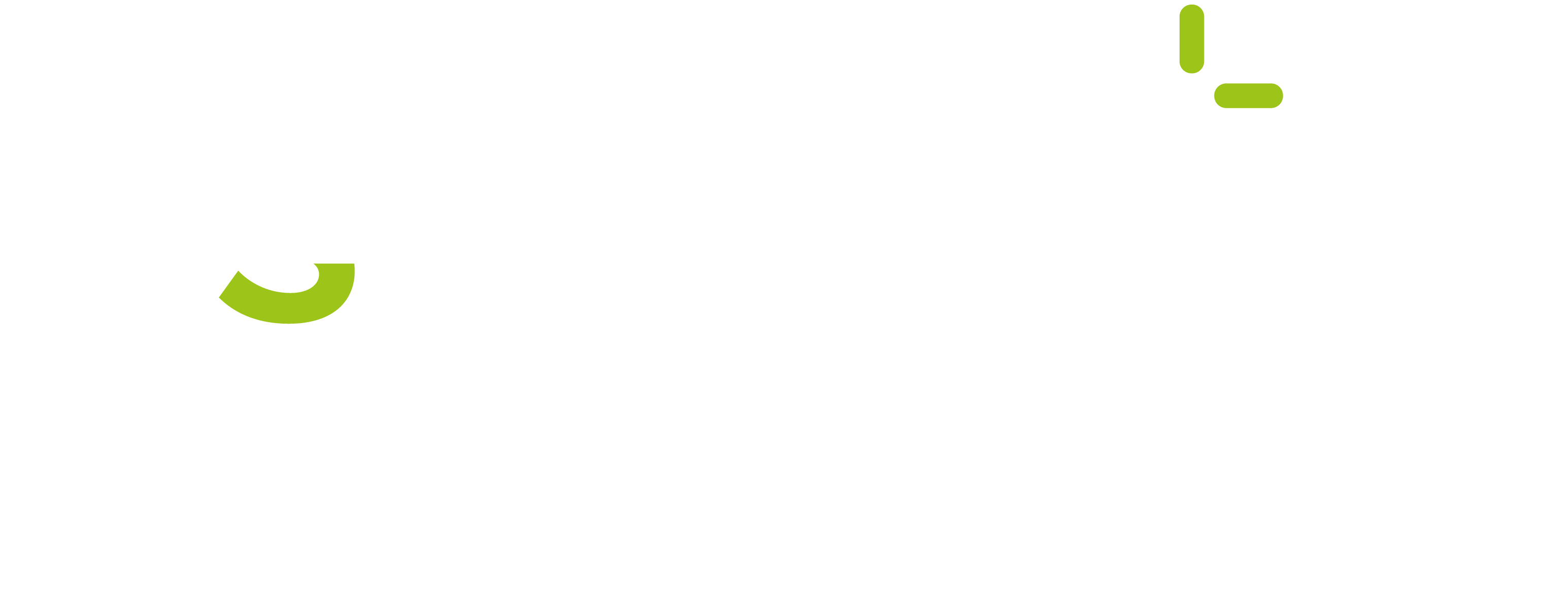 Praxis Schult Logo